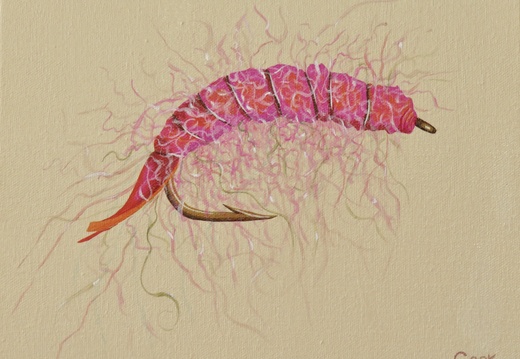 Pink Salmon Fly II 8x10 acrylic on canvas