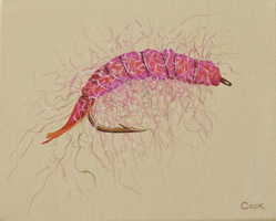 Pink Salmon Fly II 8x10 acrylic on canvas