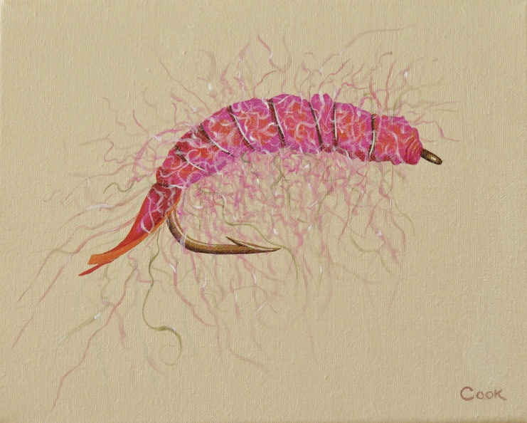 Pink Salmon Fly II 8x10 acrylic on canvas.jpg