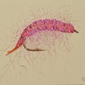 Pink Salmon Fly II 8x10 acrylic on canvas