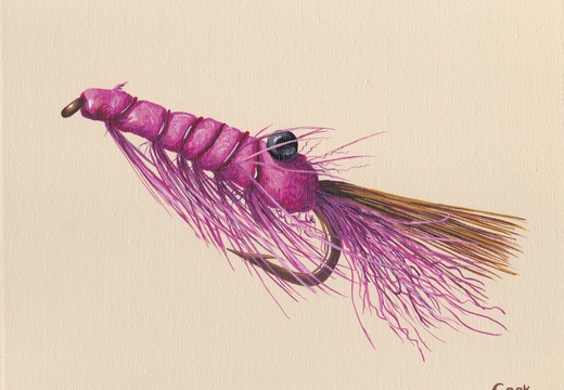 Pink Salmon Fly8x10 acrylic on canvas