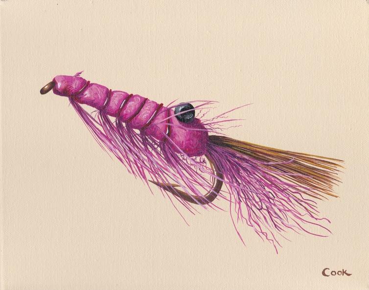 Pink Salmon Fly8x10 acrylic on canvas.jpeg