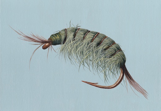 Shrimp 8x10 acrylic on canvas