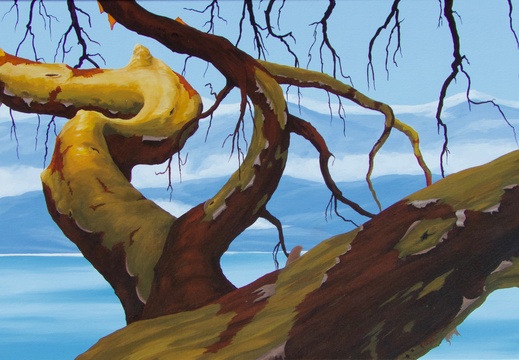 Madrone Over The Salish Sea - 18&quot;x36&quot; acrylic on canvas