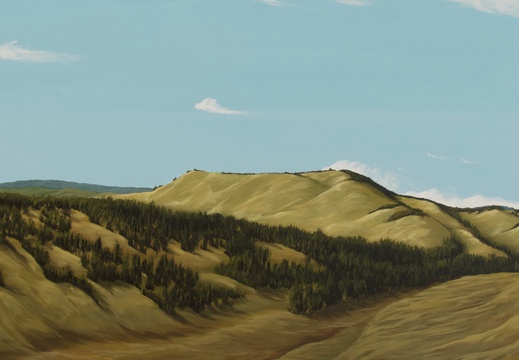 North Of Nicola - 18&quot;x36&quot; acrylic on canvas