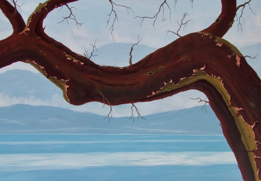 Summer On The Salish Sea - 36&quot;x72&quot; acrylic on canvas
