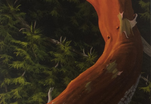 Sunset On Madrone - 24&quot;x72&quot; acrylic on canvas