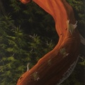 Sunset On Madrone - 24"x72" acrylic on canvas