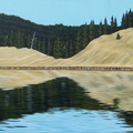 Tunkwa Lake Hillside - 24"x48" acrylic on canvas