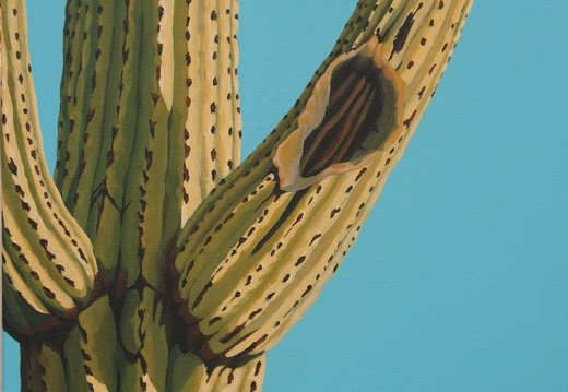 Saguaro West - 16&quot;x16&quot; acrylic on canvas