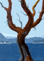 The Witness